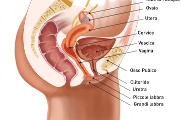La dilatazione della cervice uterina durante il travaglio