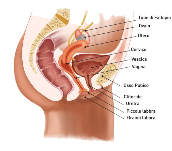 La dilatazione della cervice uterina durante il travaglio